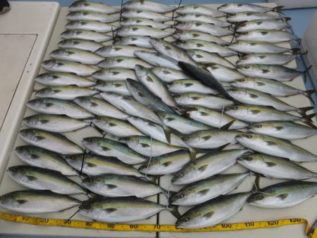 Hit Rush(ヒット ラッシュ） 釣果…