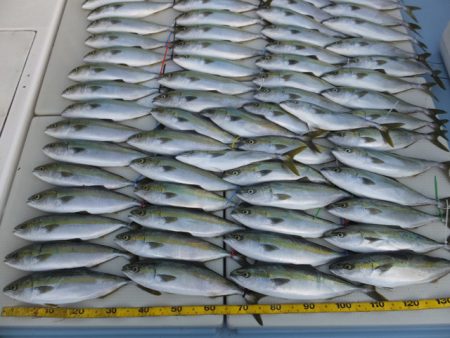 Hit Rush(ヒット ラッシュ） 釣果…