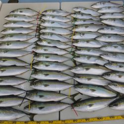 Hit Rush(ヒット ラッシュ） 釣果