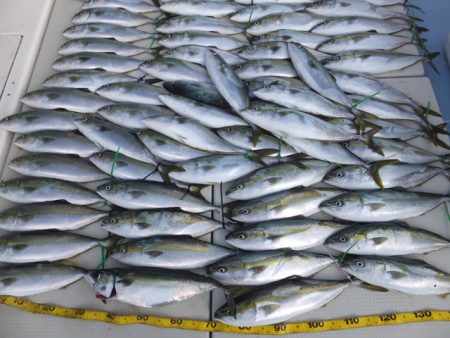 Hit Rush(ヒット ラッシュ） 釣果…