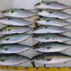 Hit Rush(ヒット ラッシュ） 釣果