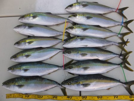 Hit Rush(ヒット ラッシュ） 釣果