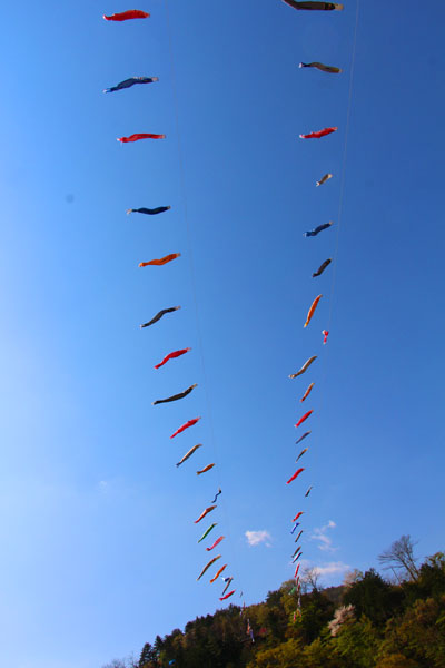 小菅トラウトガーデン 釣果