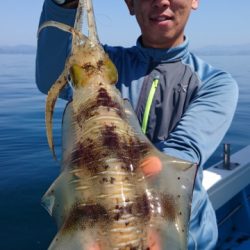 海晴丸 釣果
