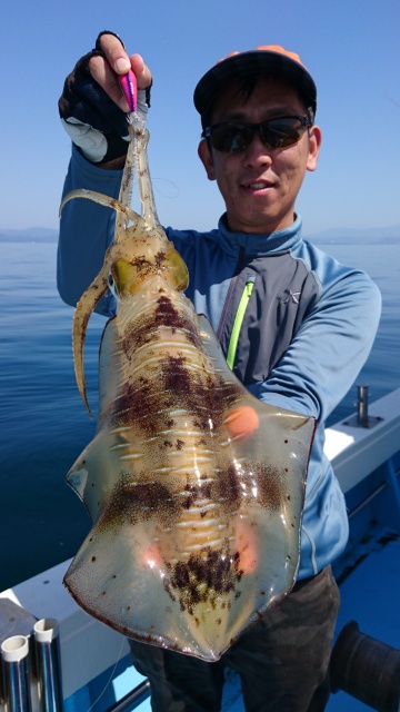 海晴丸 釣果