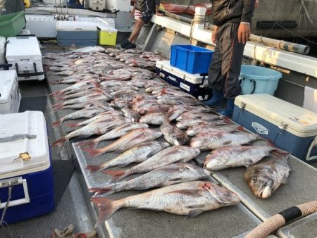 幸風（さちかぜ） 釣果