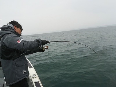 IDATEN(イダテン) 釣果