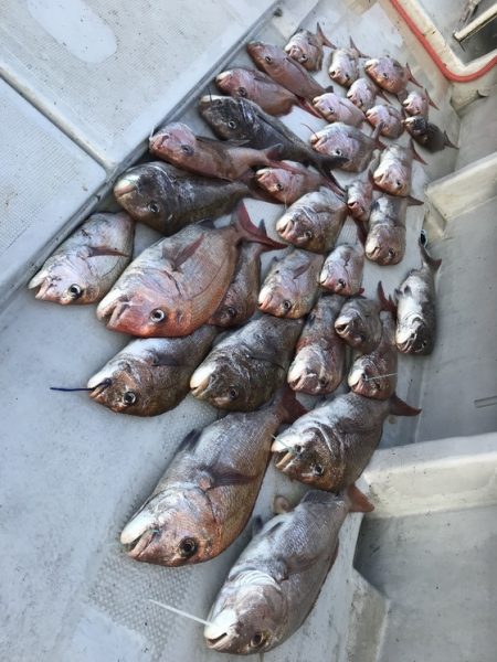 寿裕 （YOSHIHIRO） 釣果