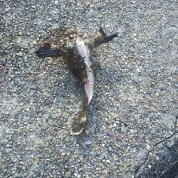 良い人達に囲まれて