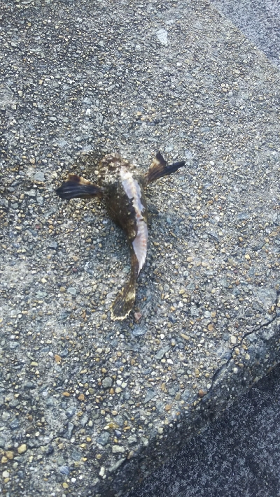 良い人達に囲まれて