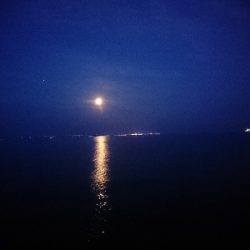 GW3日目はメバル狙いに