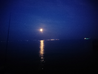 GW3日目はメバル狙いに