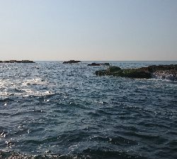 ショアジギ&穴釣り