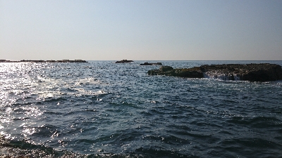 ショアジギ&穴釣り