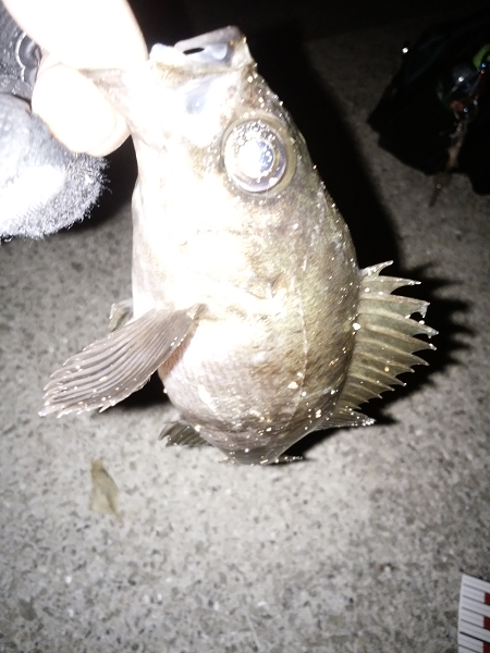 活性は高いが…