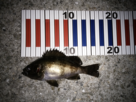 活性は高いが…