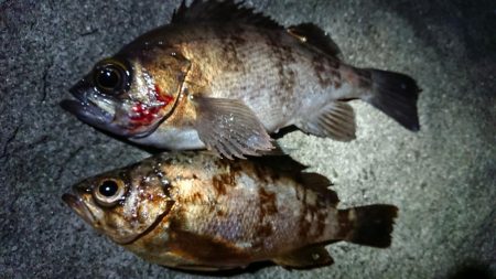 仕事終わりメバリング