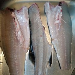 ボラを避けつつ…