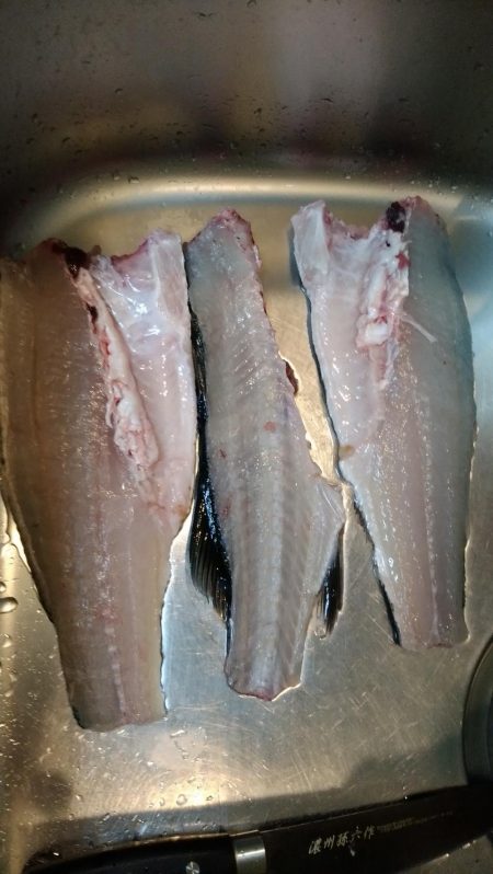 ボラを避けつつ…