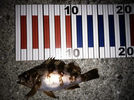 活性は高いが…