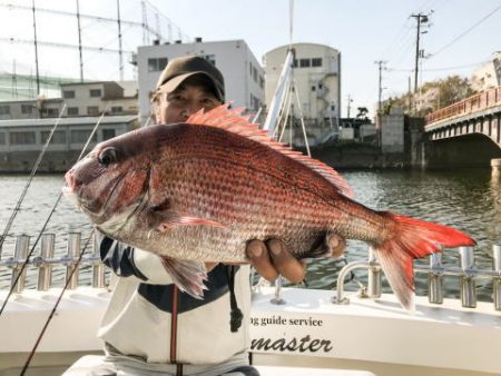 オーシャンマスター 釣果