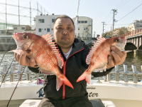 オーシャンマスター 釣果