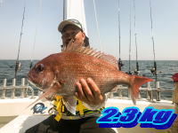 オーシャンマスター 釣果