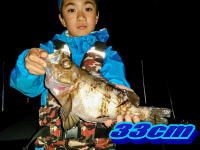 オーシャンマスター 釣果