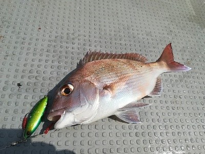 IDATEN(イダテン) 釣果