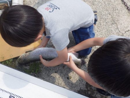 フィッシングレイクたかみや 釣果