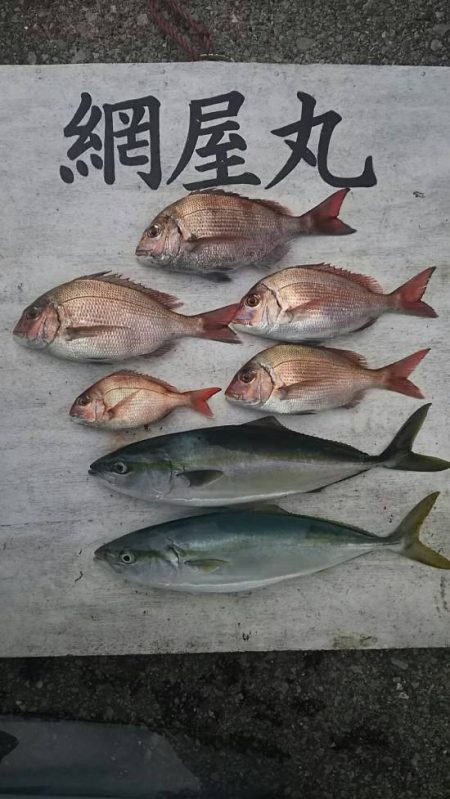 網屋丸 釣果