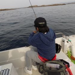フィッシングボート空風(そらかぜ) 釣果