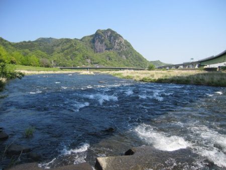 狩野川（狩野川漁業協同組合） 釣果