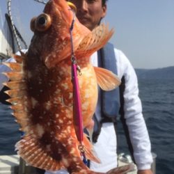 シーモンキー 釣果