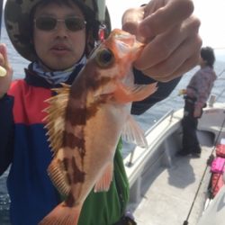 シーモンキー 釣果