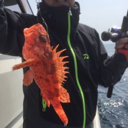 シーモンキー 釣果