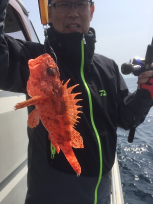 シーモンキー 釣果