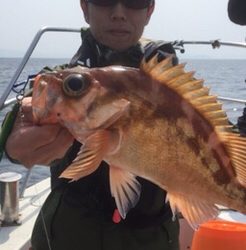 シーモンキー 釣果