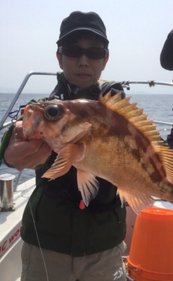 シーモンキー 釣果