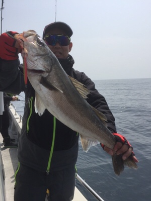 シーモンキー 釣果