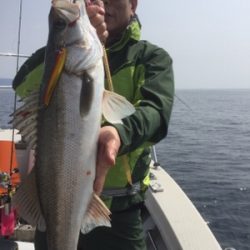 シーモンキー 釣果