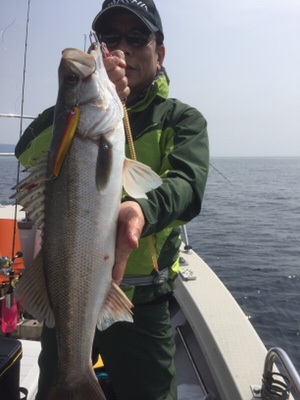 シーモンキー 釣果