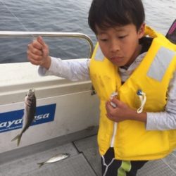 シーモンキー 釣果