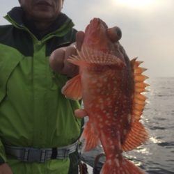 シーモンキー 釣果