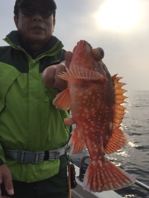 シーモンキー 釣果