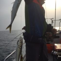 シーモンキー 釣果