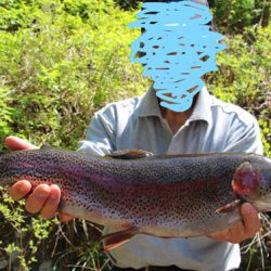 小菅トラウトガーデン 釣果