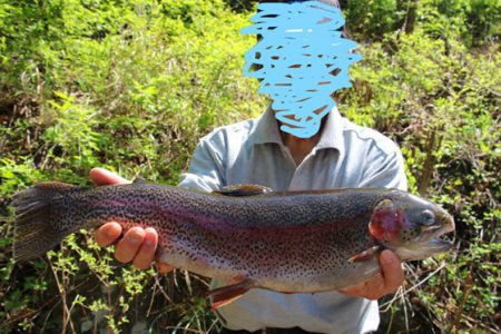 小菅トラウトガーデン 釣果