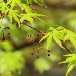 小菅トラウトガーデン 釣果