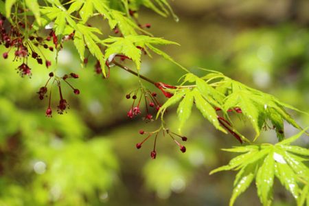 小菅トラウトガーデン 釣果